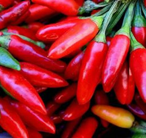 La regione Lazio protagonista alla Fiera Mondiale del Peperoncino di Rieti