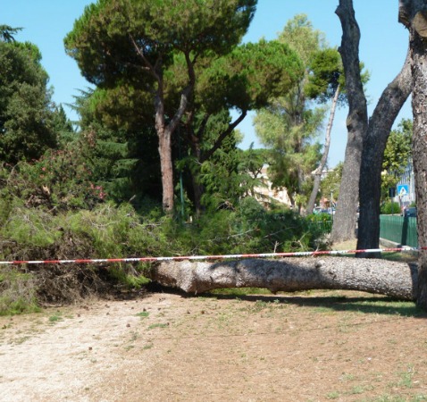 Valore Comune contro Cirilli: con lo spacchettamento per la gestione del verde ha fatto lievitare i costi