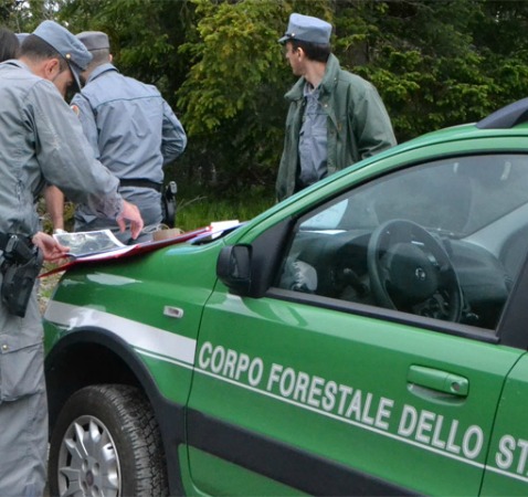 Gestione illecita di rifiuti, sequestri della forestale tra Cisterna e Maenza