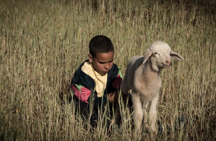 Ventotene Film Festival, “My Name is Adil” vince la prima edizione del concorso Open Frontiers