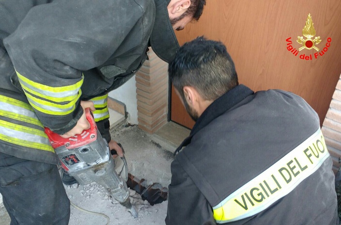 Minturno, cane intrappolato in un solaio da giorni: tratto in salvo dai pompieri – VIDEO
