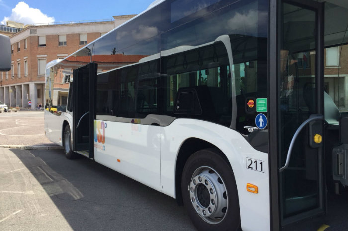 Bus Cilia