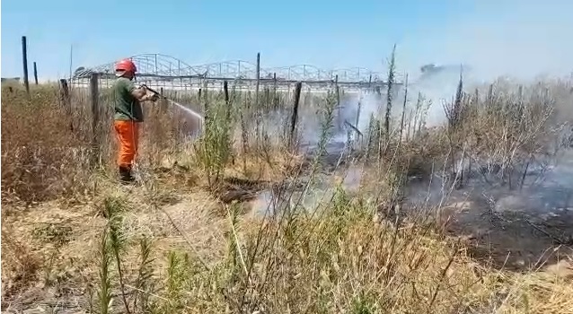 Maxi incendio in un’azienda agricola di Terracina, una persona in ospedale