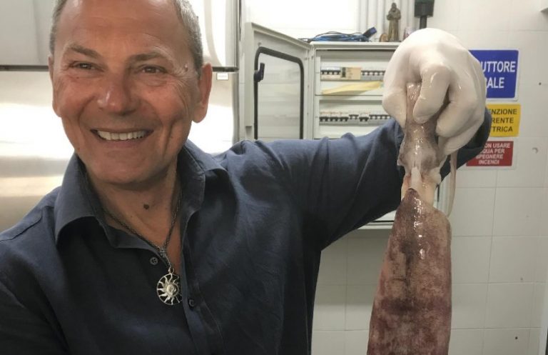 Lutto nel mondo dell’imprenditoria di Latina, morto Giovanni Martelossi