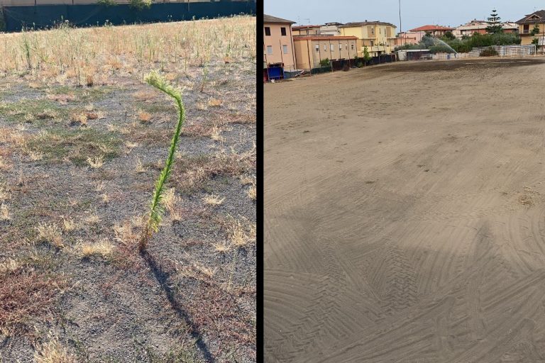 Sezze, candidati al consiglio comunale al lavoro per sistemare il Cesarino Tornesi dello Scalo