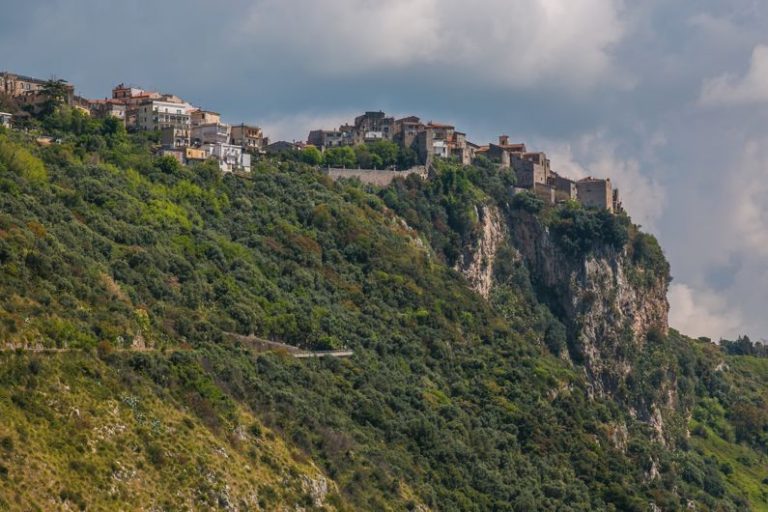 Sono ufficialmente aperte le iscrizioni al “Concorso Olio delle Colline a Norma”