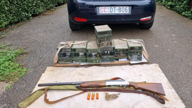 Bracconaggio: multe e sequestri dei carabinieri forestali in provincia