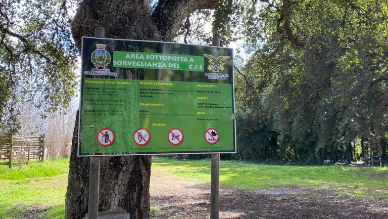Bosco del Filetto, dalla Regione primo “si” al riconoscimento dell’area come parco naturale